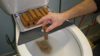 People Test Toilets Using Fake Poop?